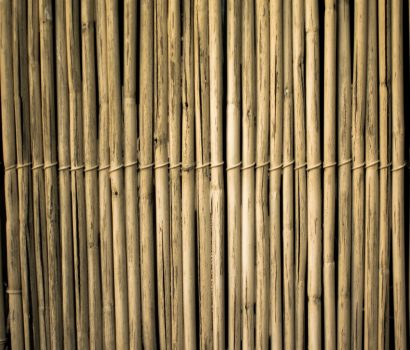 Produkty z bambusa – w czym tkwi ich fenomen? - NIKAbloguje. bambus