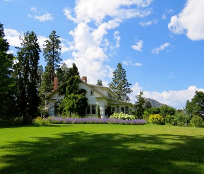 Ogród w skandynawskim stylu - NIKAbloguje. ogród